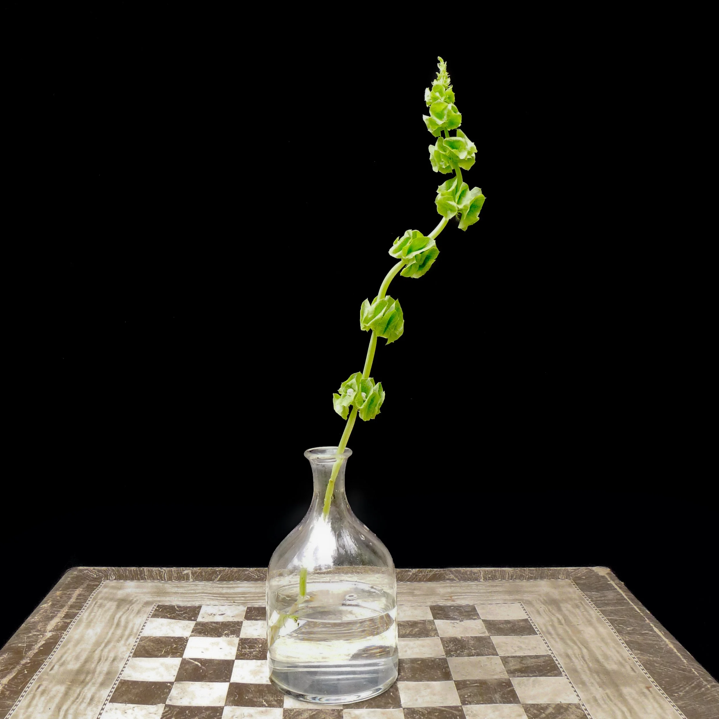 Floral Study (Study 2 with Table).jpg