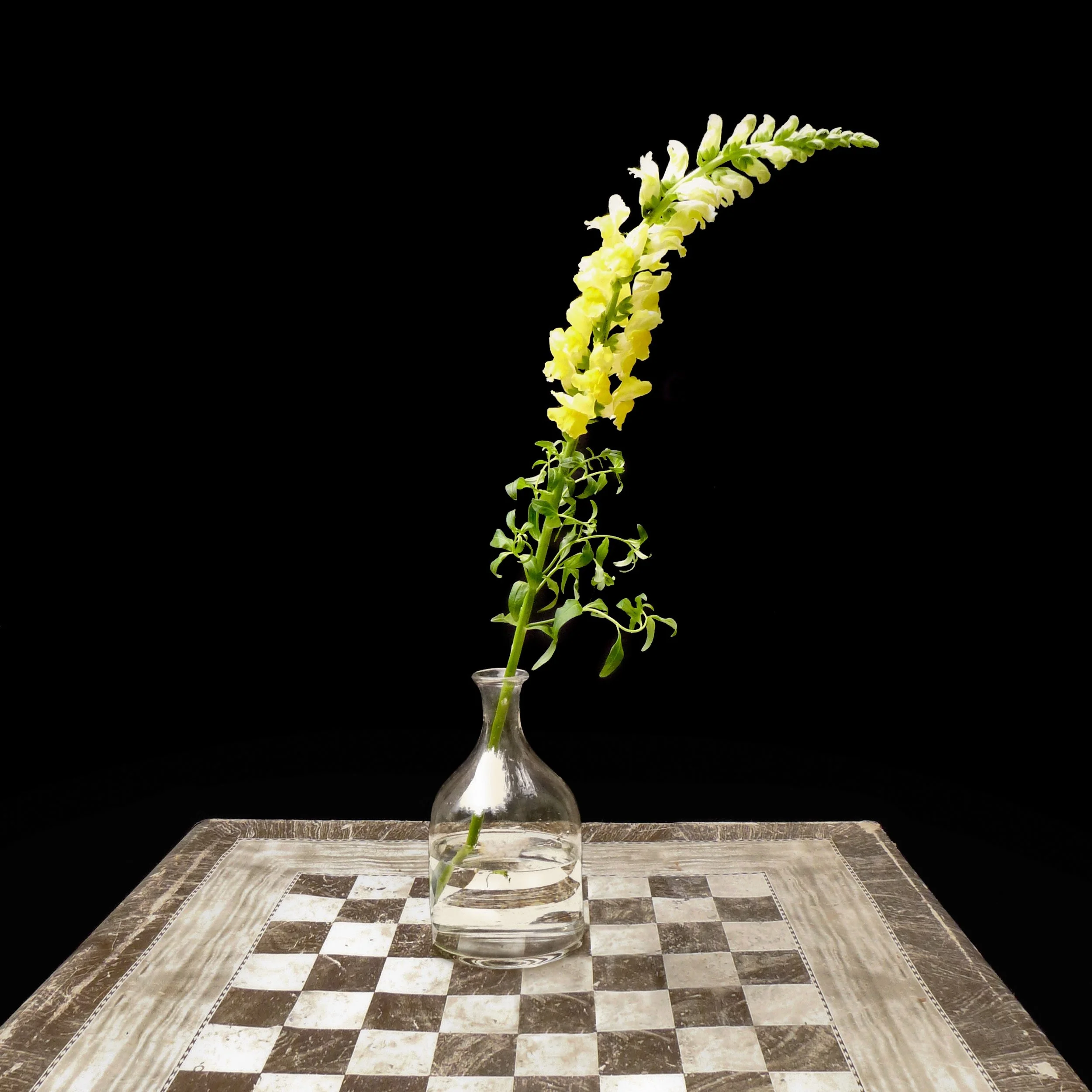 Floral Study (Study 5 with Table).jpg