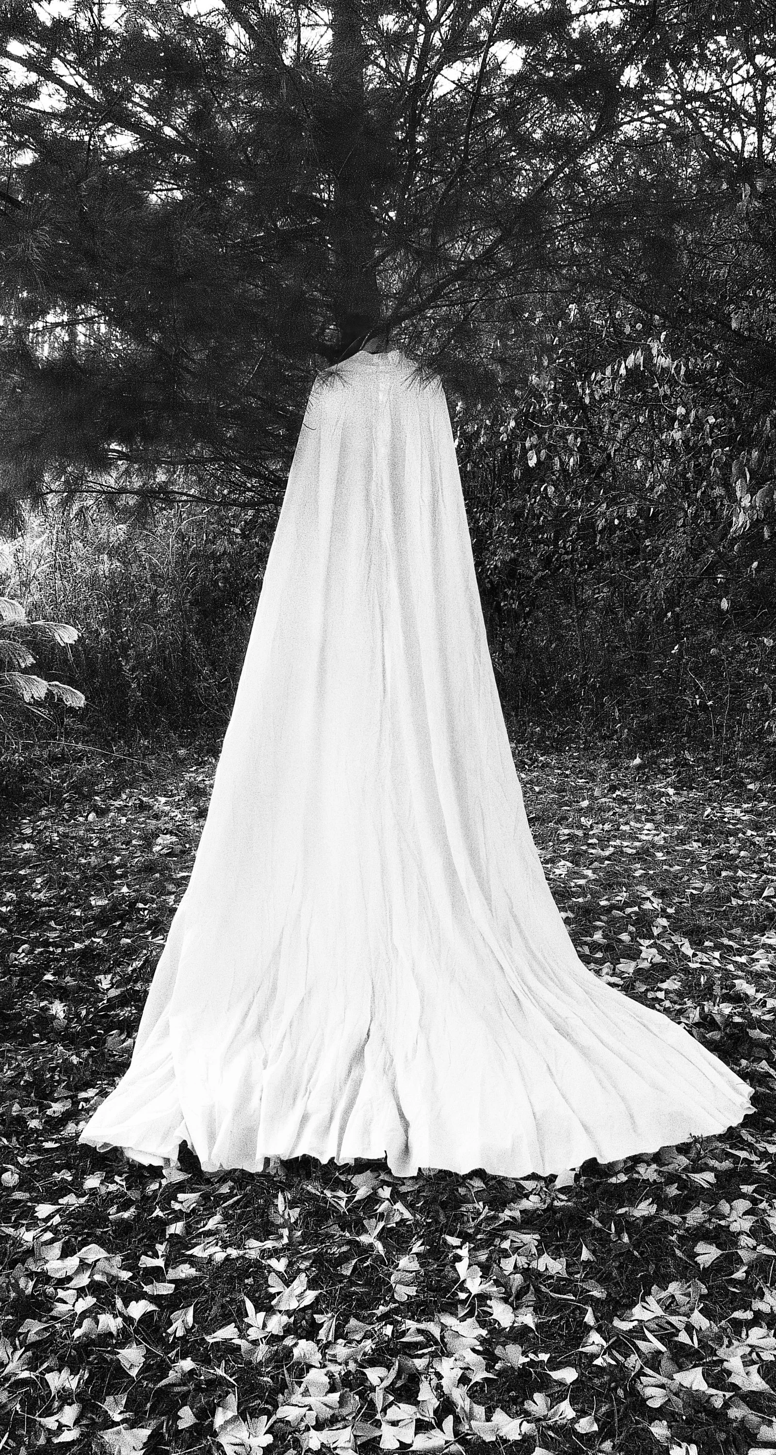 L1180454-God Cloth 2 45x24 final metallic.jpg