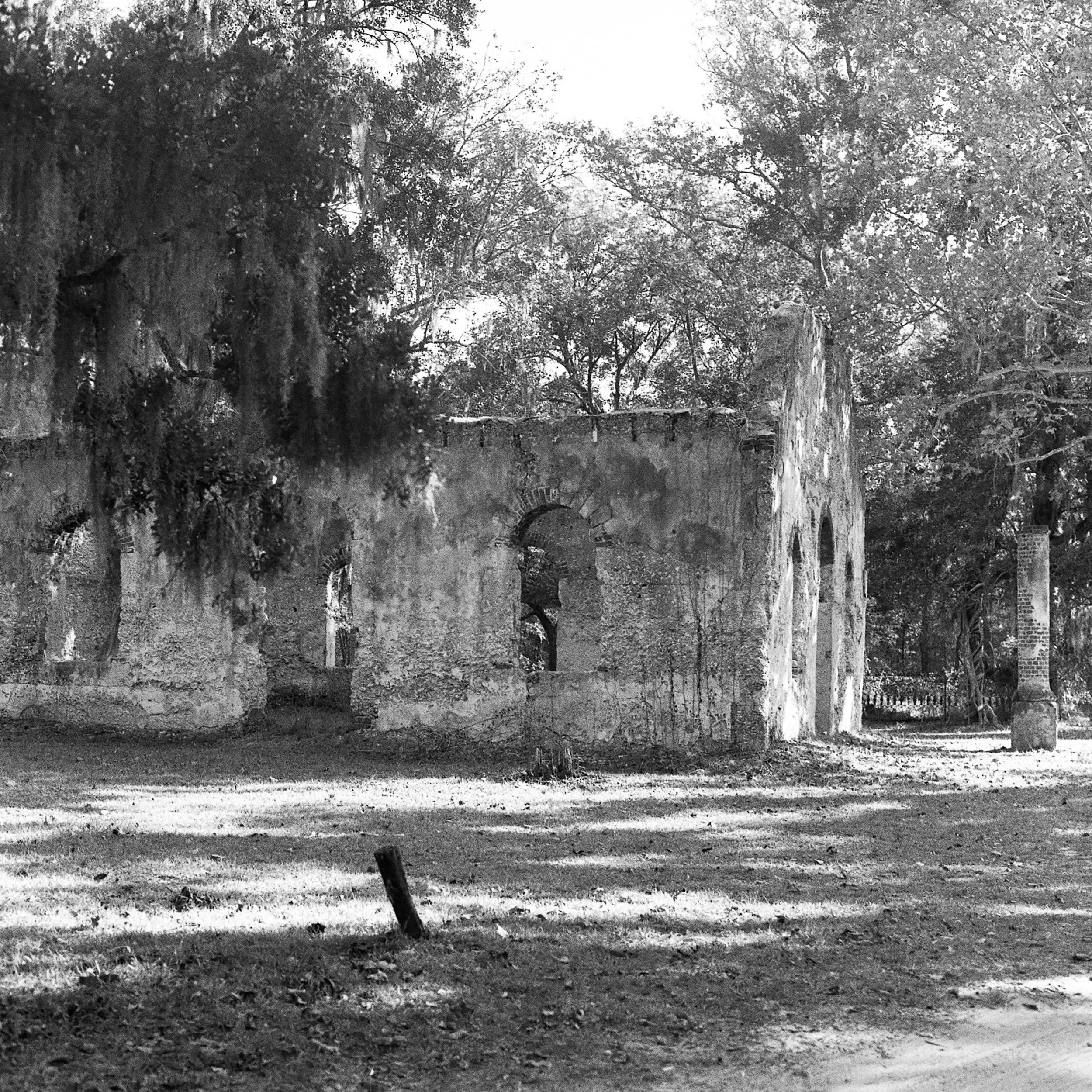 south039_20x24- platine.jpg