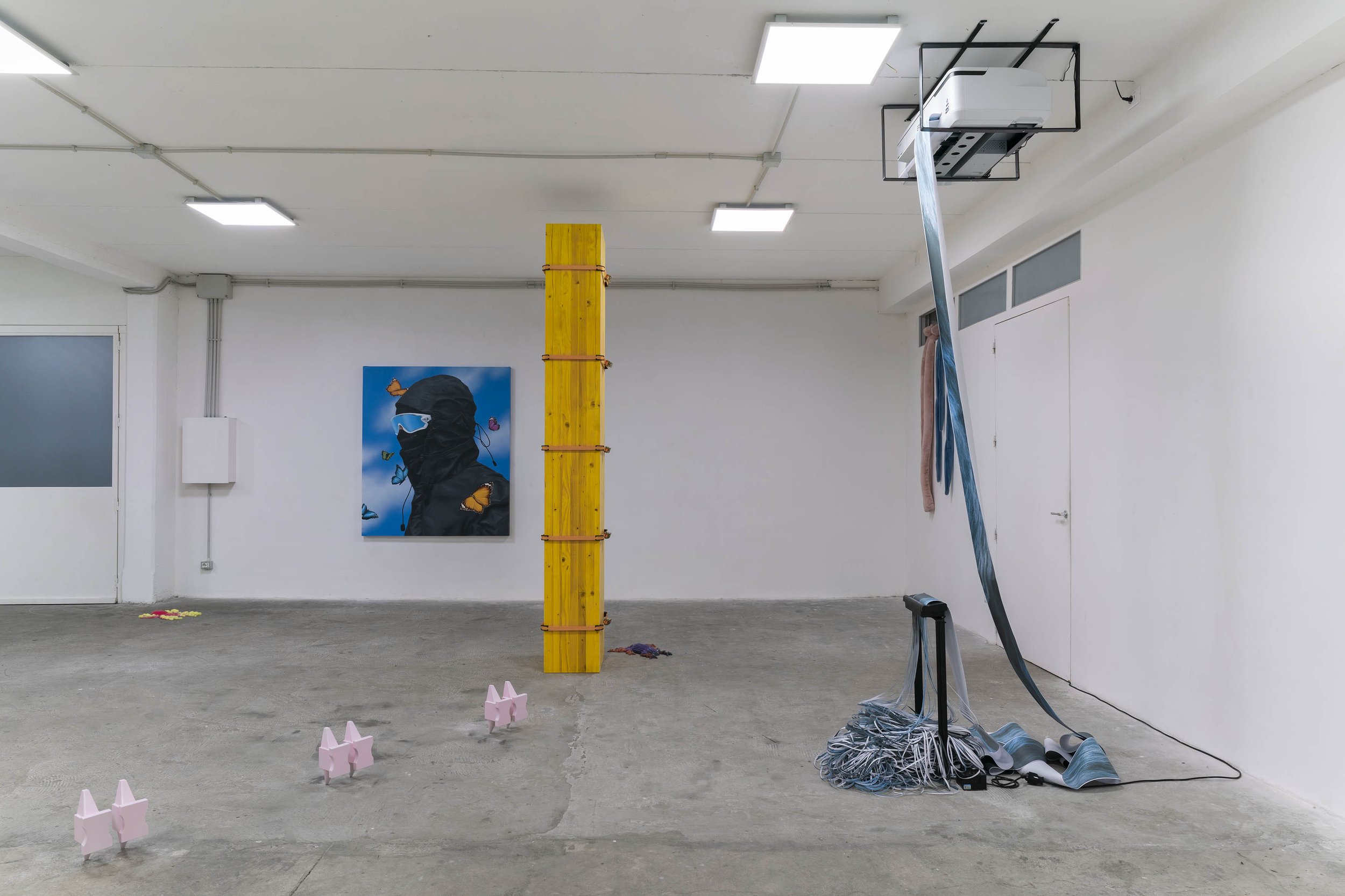 7_SOLAR DOGS_Curated by Caterina Taurelli Salimbeni_Installation View_Spazio In Situ_Ph_Marco De Rosa.jpg