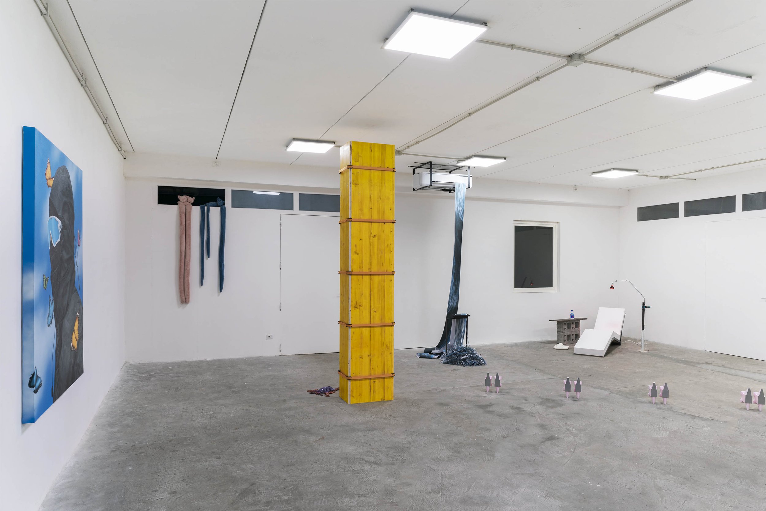 1_SOLAR DOGS_Curated by Caterina Taurelli Salimbeni_Installation View_Spazio In Situ_Ph_Marco De Rosa.jpg