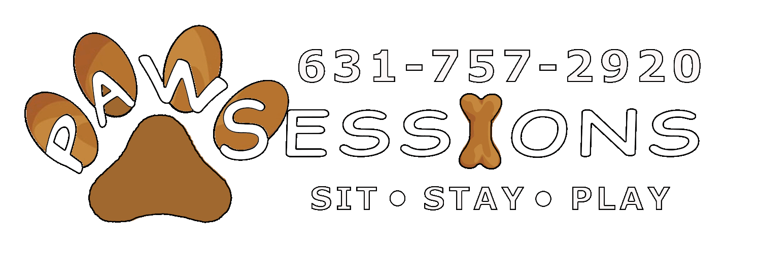 PawSessions Dog Training, Social Play and Event Center