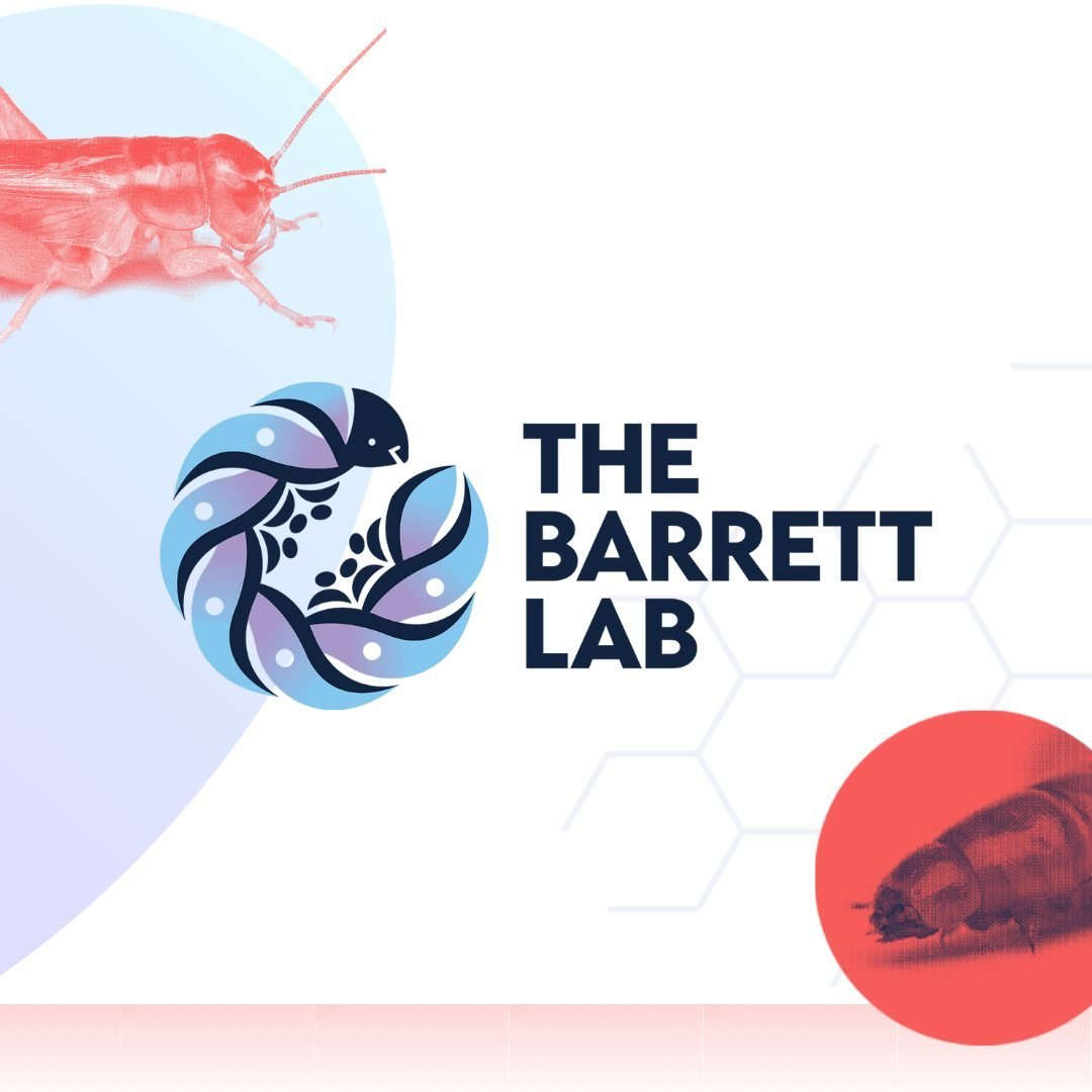 For the Barrett Lab, we wanted to build a brand and website as bold, compassionate, and radical as the science itself. With big pops of color, open and free flowing design, we truly love the results of this collaboration.⁠
⁠
Scroll through the carous