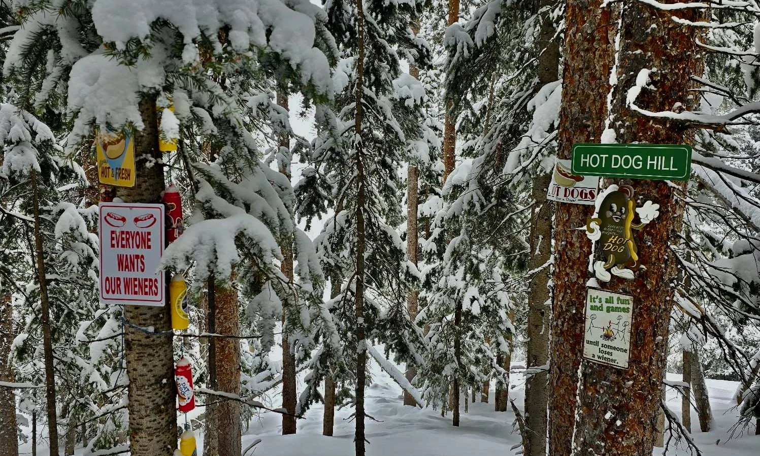 Susan Plummer's Aspen Intel : where to find the shrines of Aspen? my shrine guide!