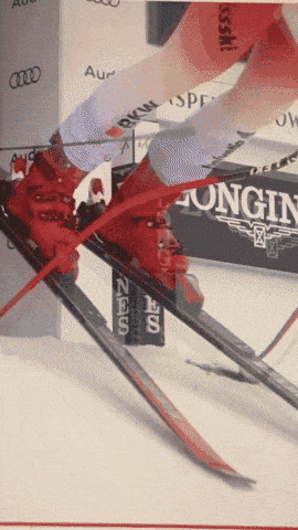 09_winter-olympics_ski-racing.gif