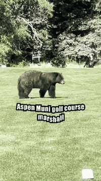 BE BEAR AWARE 