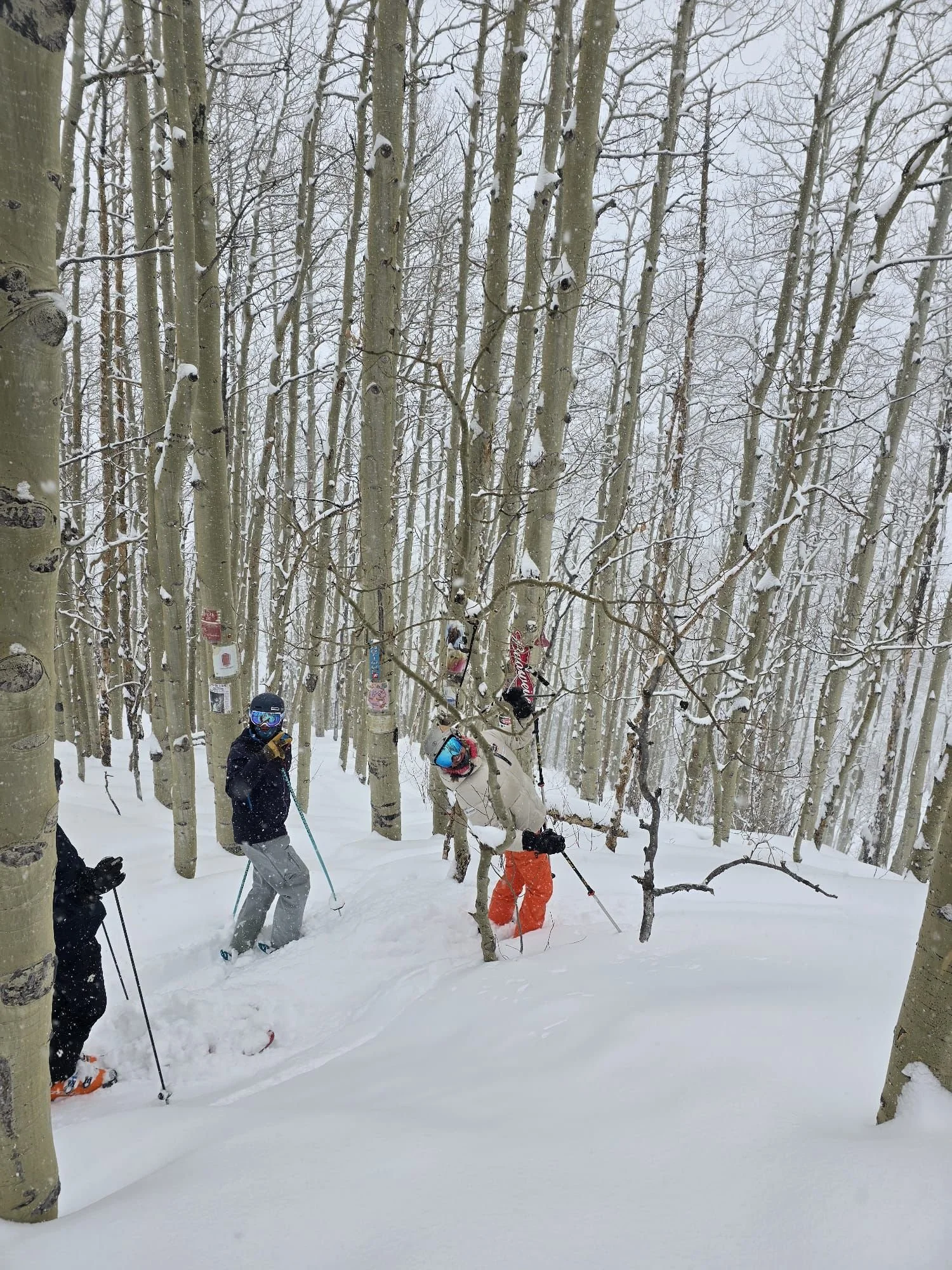 Susan Plummer's Aspen Intel : where to find the shrines of Aspen? my shrine guide!