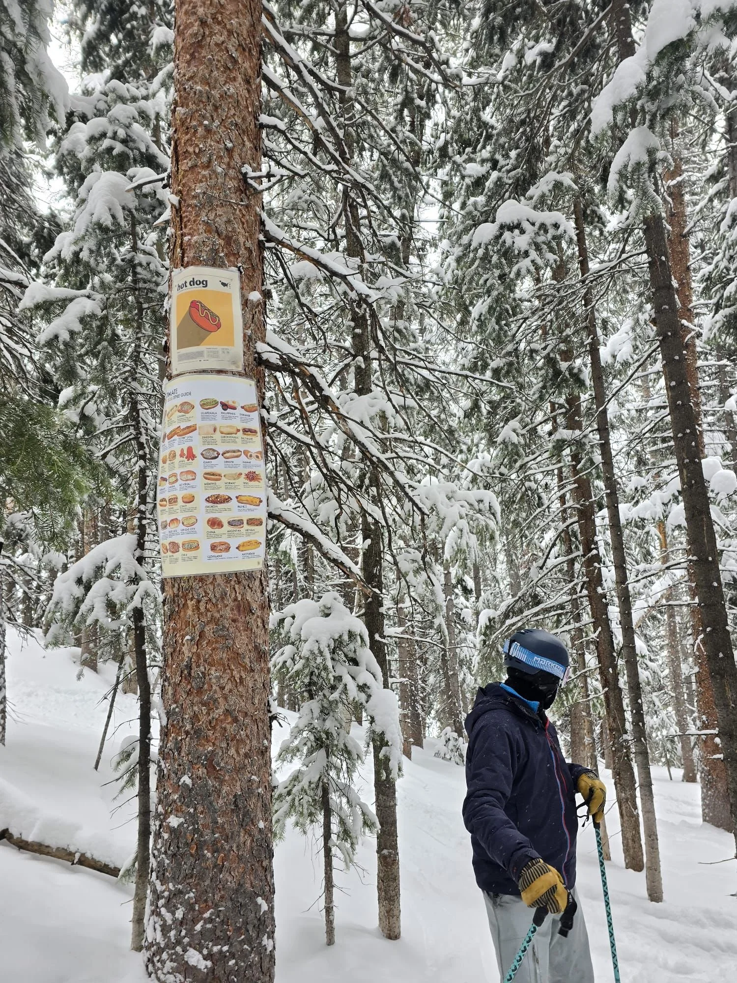 Susan Plummer's Aspen Intel : where to find the shrines of Aspen? my shrine guide!
