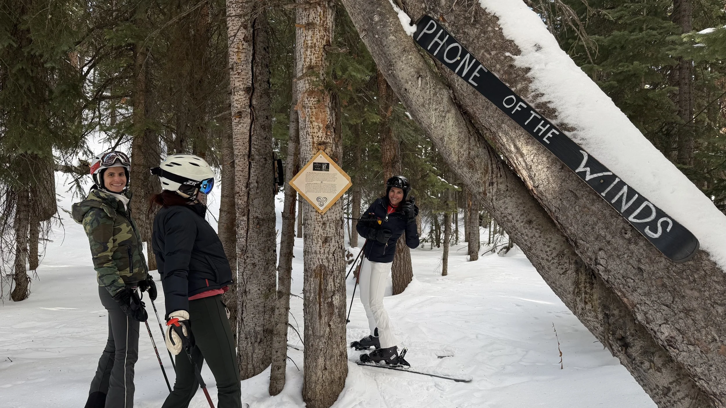 Susan Plummer's Aspen Intel :  where to find the shrines of Aspen?   my shrine guide! 
