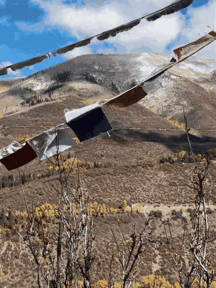 18_gallery_prayer-flags.gif