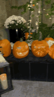 17_gallery_fall-pumpkins.gif