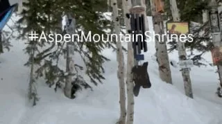 Aspen Mountain ski shrines in winter: Susan Plummer's Aspen Intel guide to finding them.