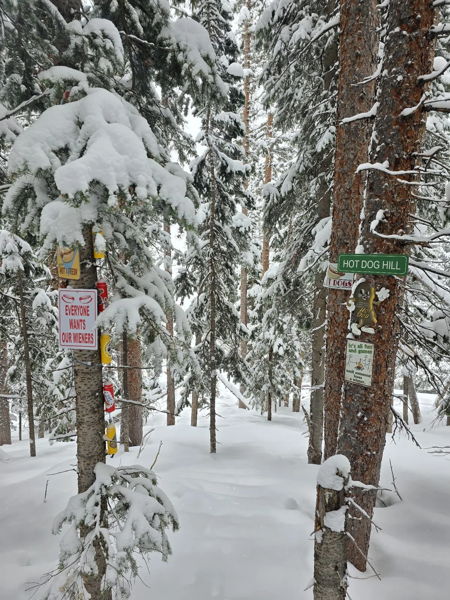 Susan Plummer's Aspen Intel : where to find the shrines of Aspen? my shrine guide!