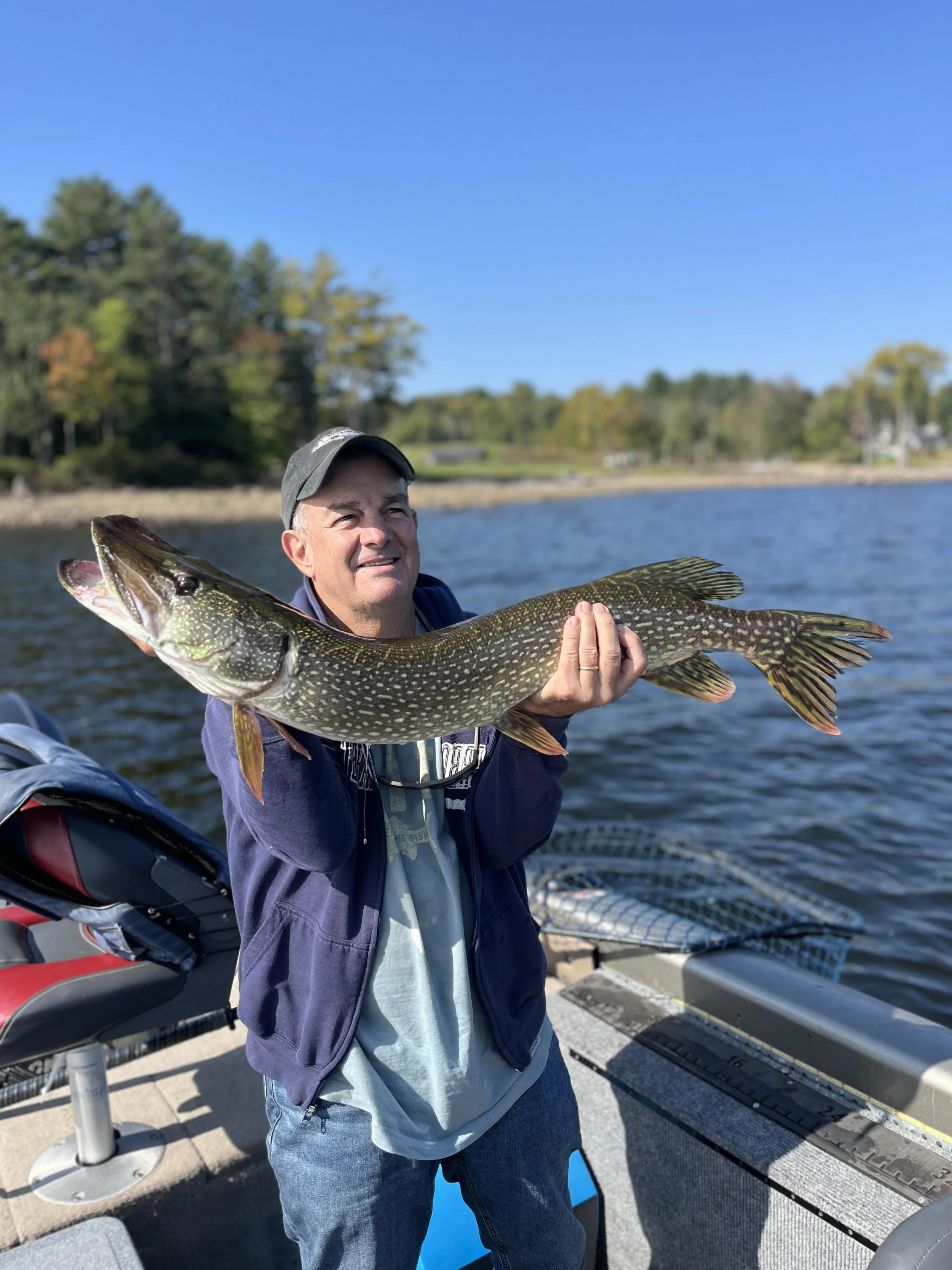 Man wearing a gray cap and jacket holding a large fish on a boat by a lakeshore with trees and blue sky in the background.