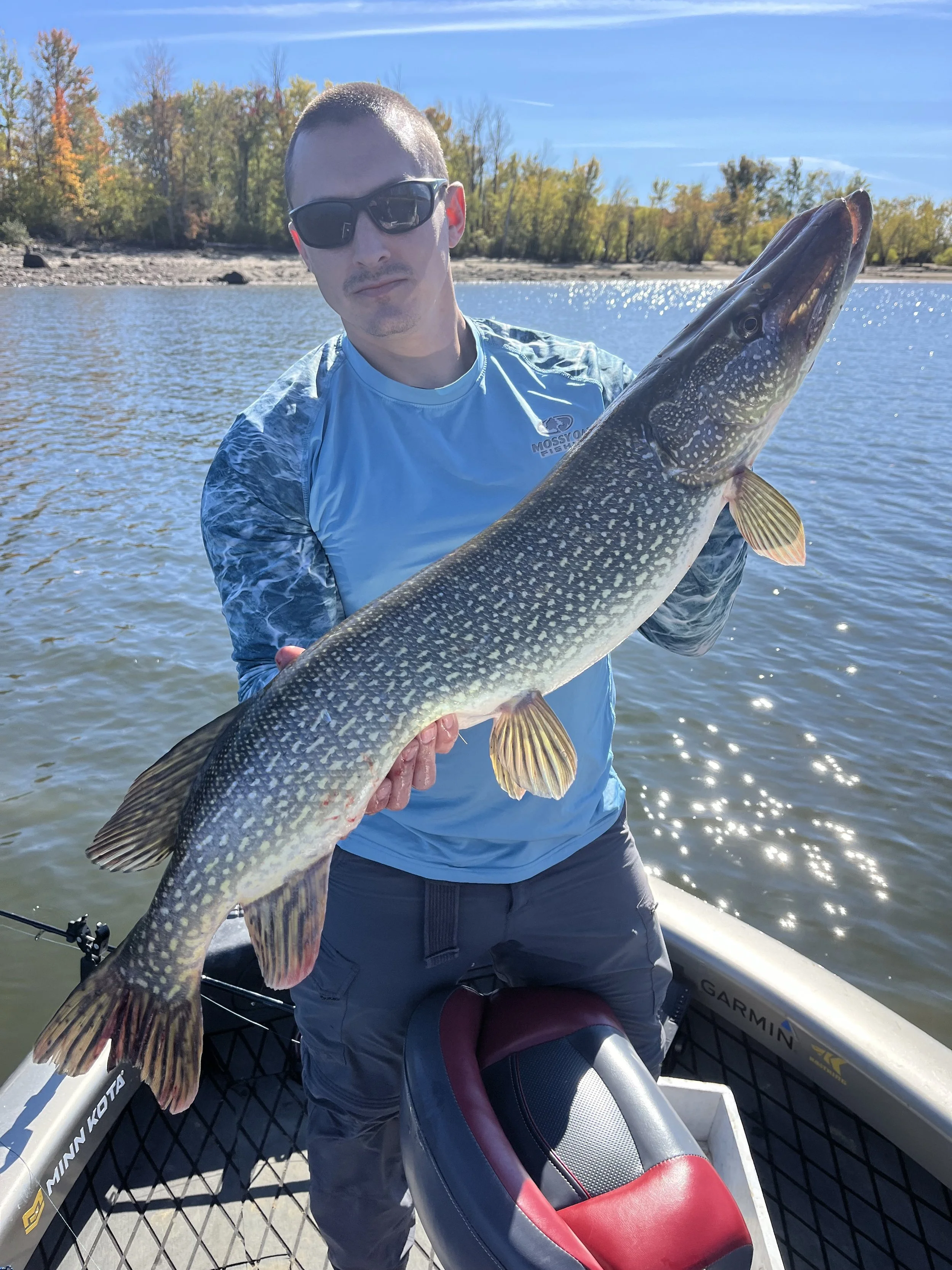 Man wearing sunglasses and a blue fishing shirt holding a large fish on a boat in a lake with autumn trees in the background.