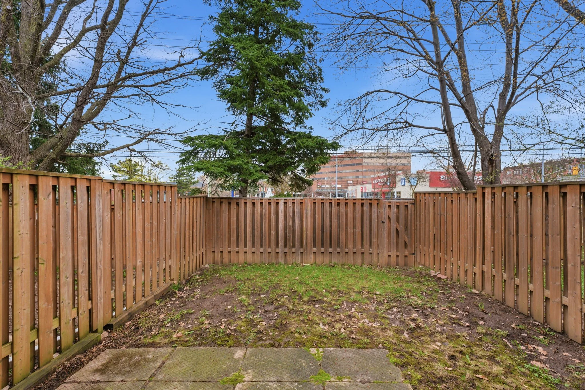 33-web-or-mls-DSC02927.jpg