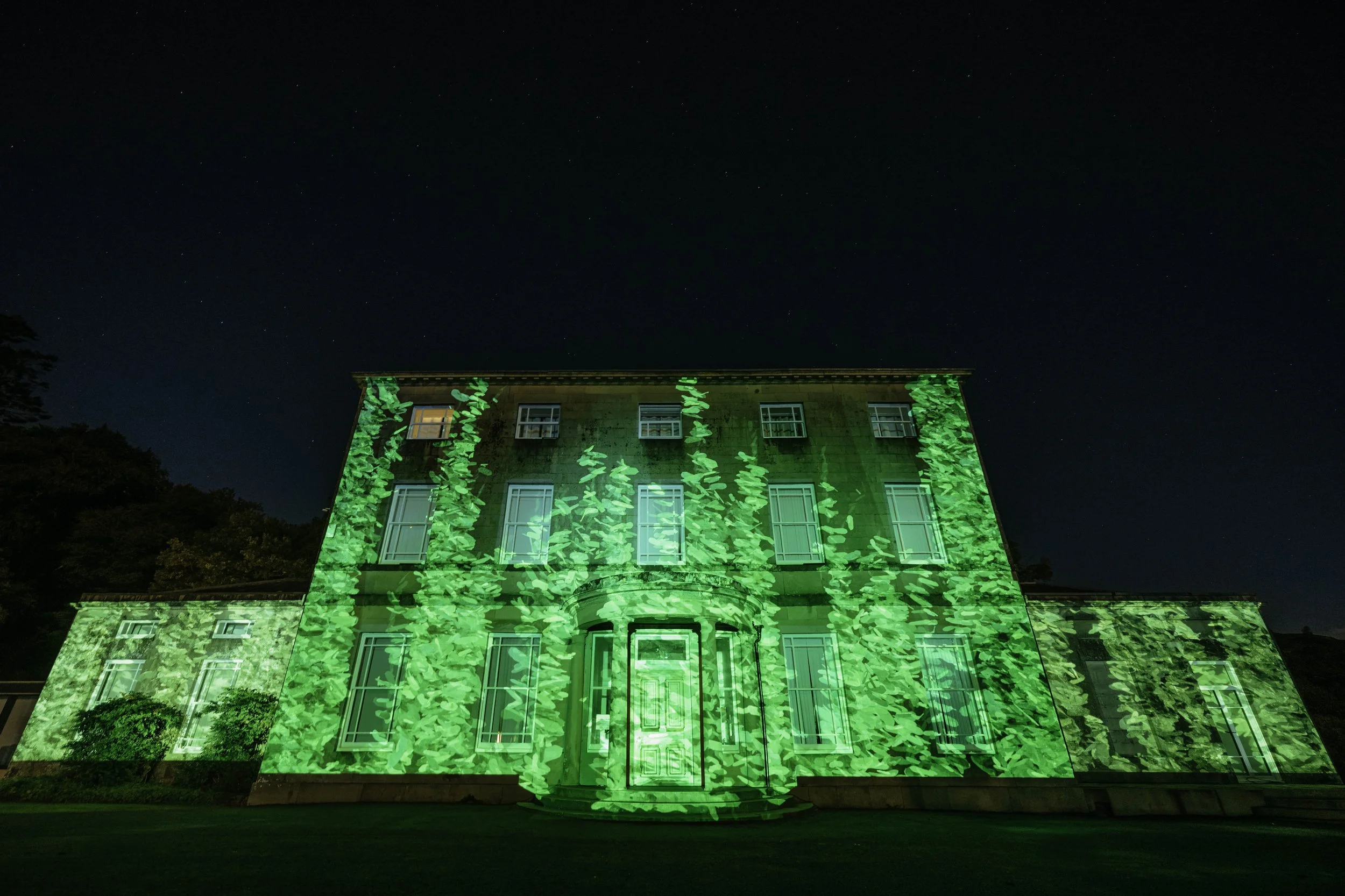 Projections_-79.jpg