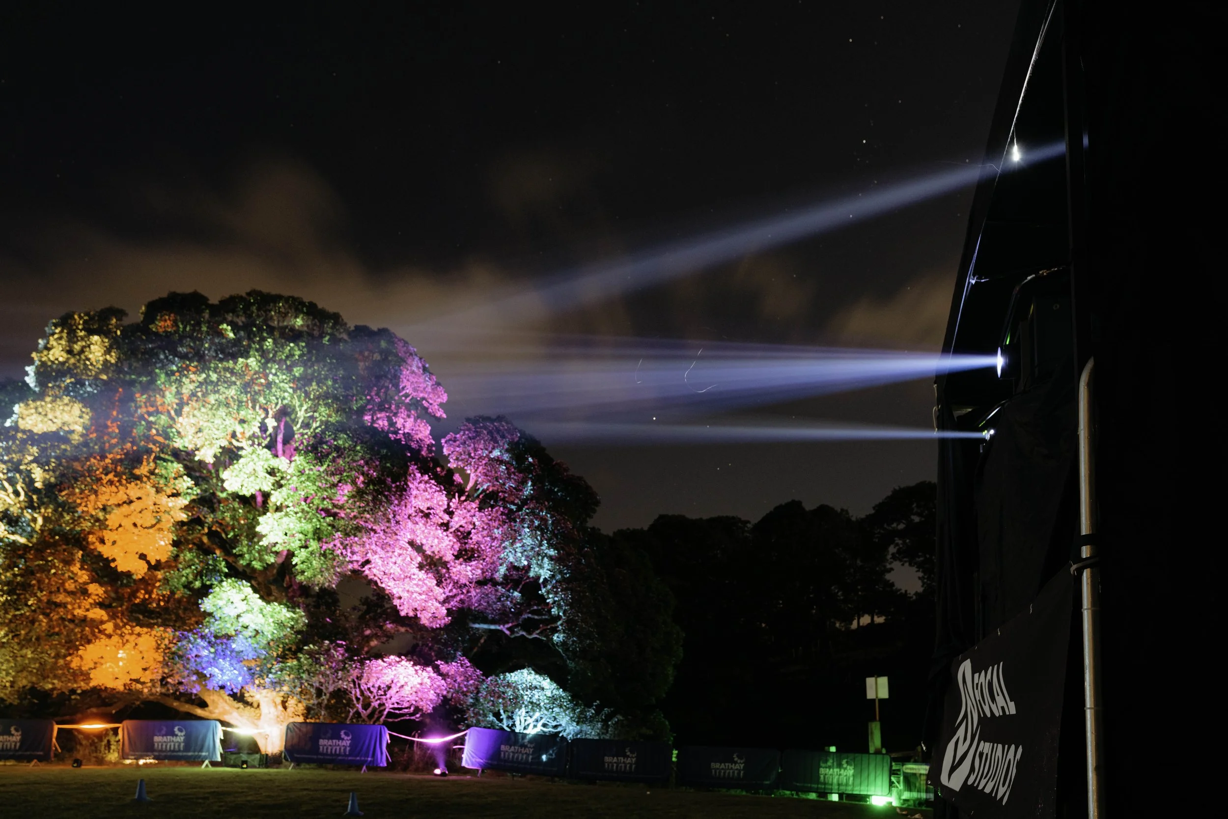 Projections_-98.jpg