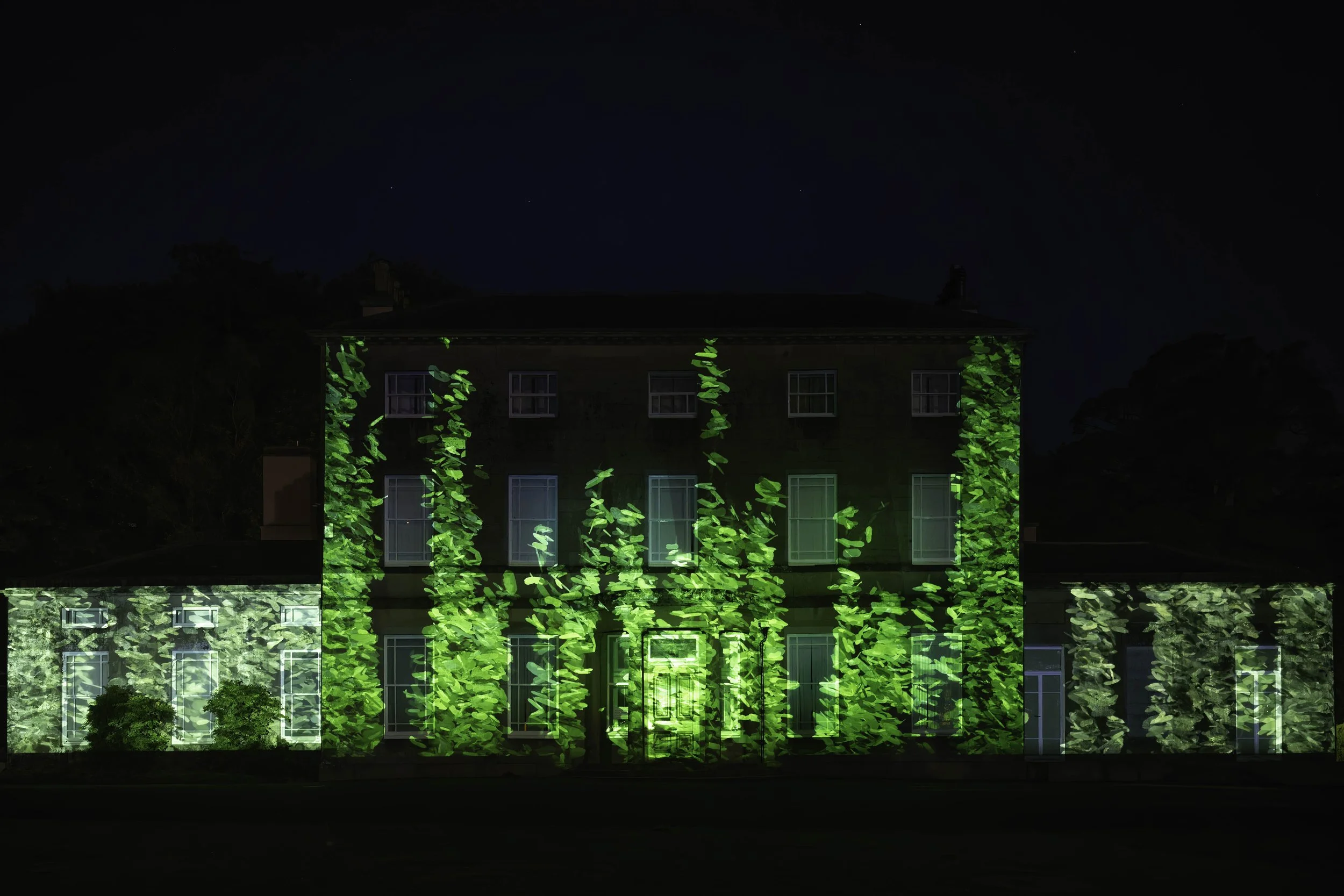 Projections_-58.jpg