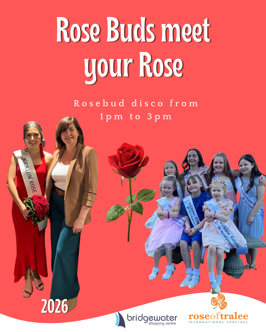 Rose Bud Disco