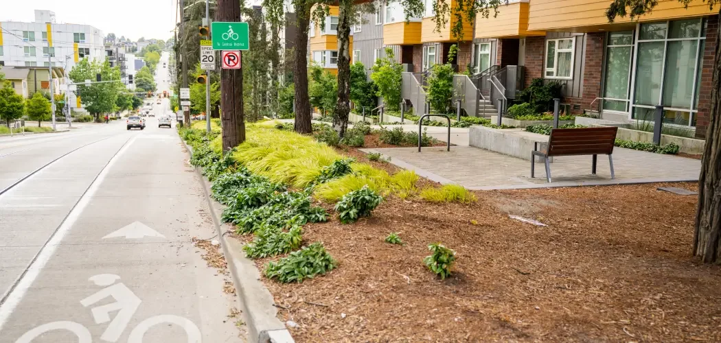 city street with bike lane and bike parking area next to sidewalk