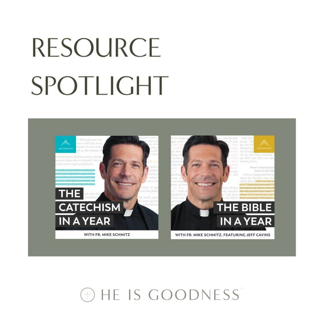 Did you know that all of our studies include references to the related &ldquo;The Bible in a Year&rdquo; or &ldquo;The Catechism in a Year&rdquo; podcast episodes? We are so grateful to @fathermikeschmitz for sharing his wisdom and hope you find it h