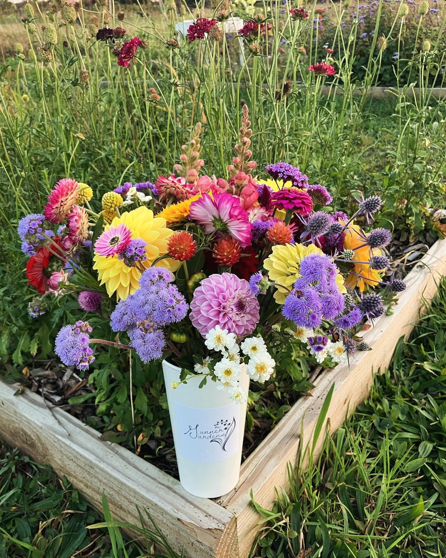Flowers soon to leave
Sunny day come out today
Fill your cup so full.

Anyone else remember writing haiku in school?😂