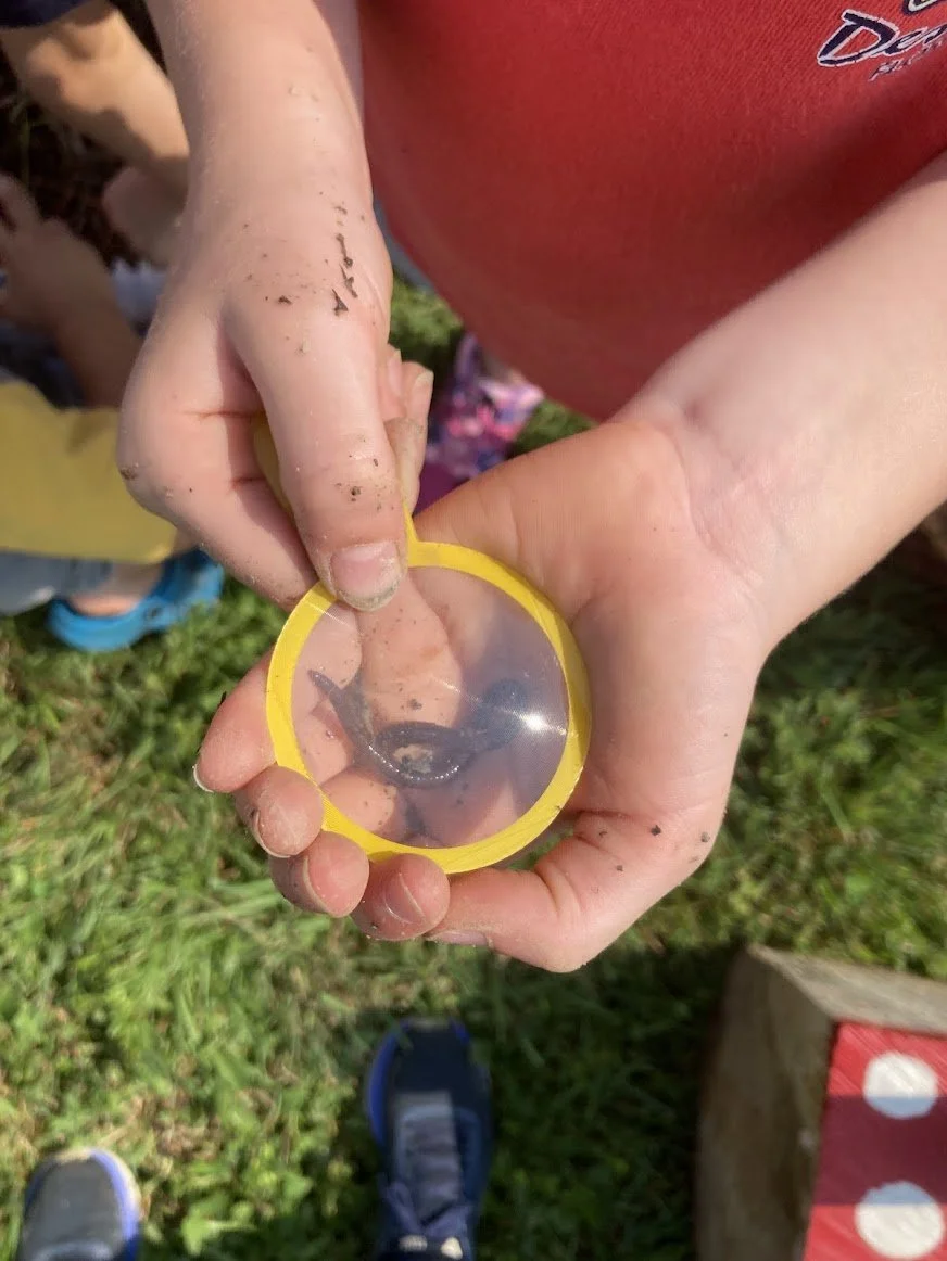 Child holding worm.jpg
