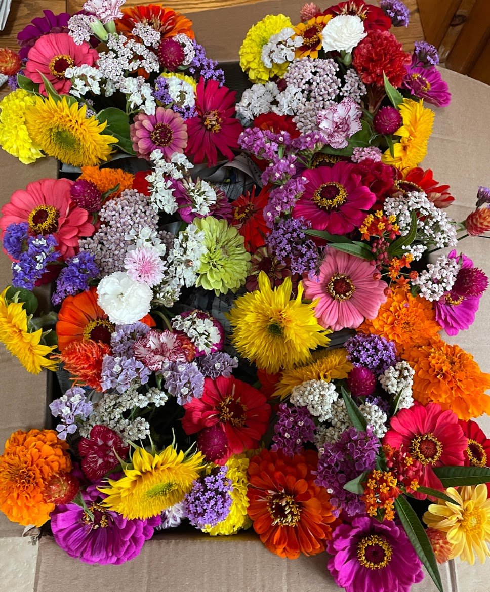 Group of flowers