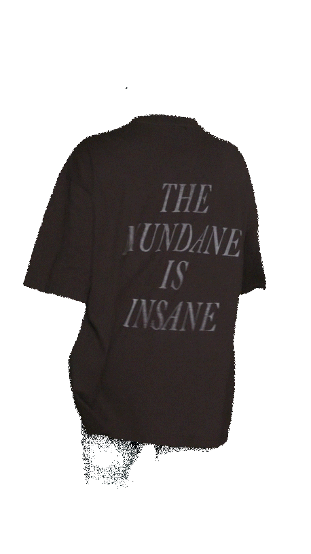 mundane is insane back gif.gif