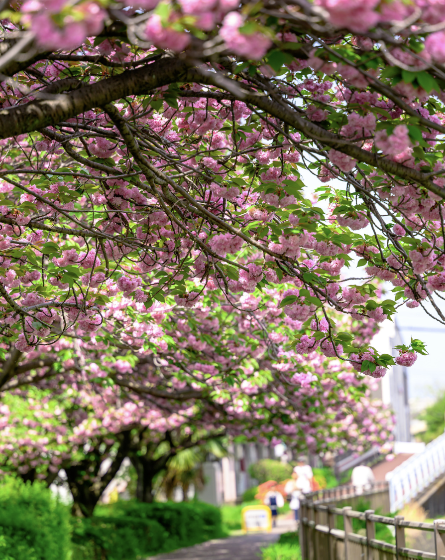 Spring Growth: Why Businesses Expand This Time of Year