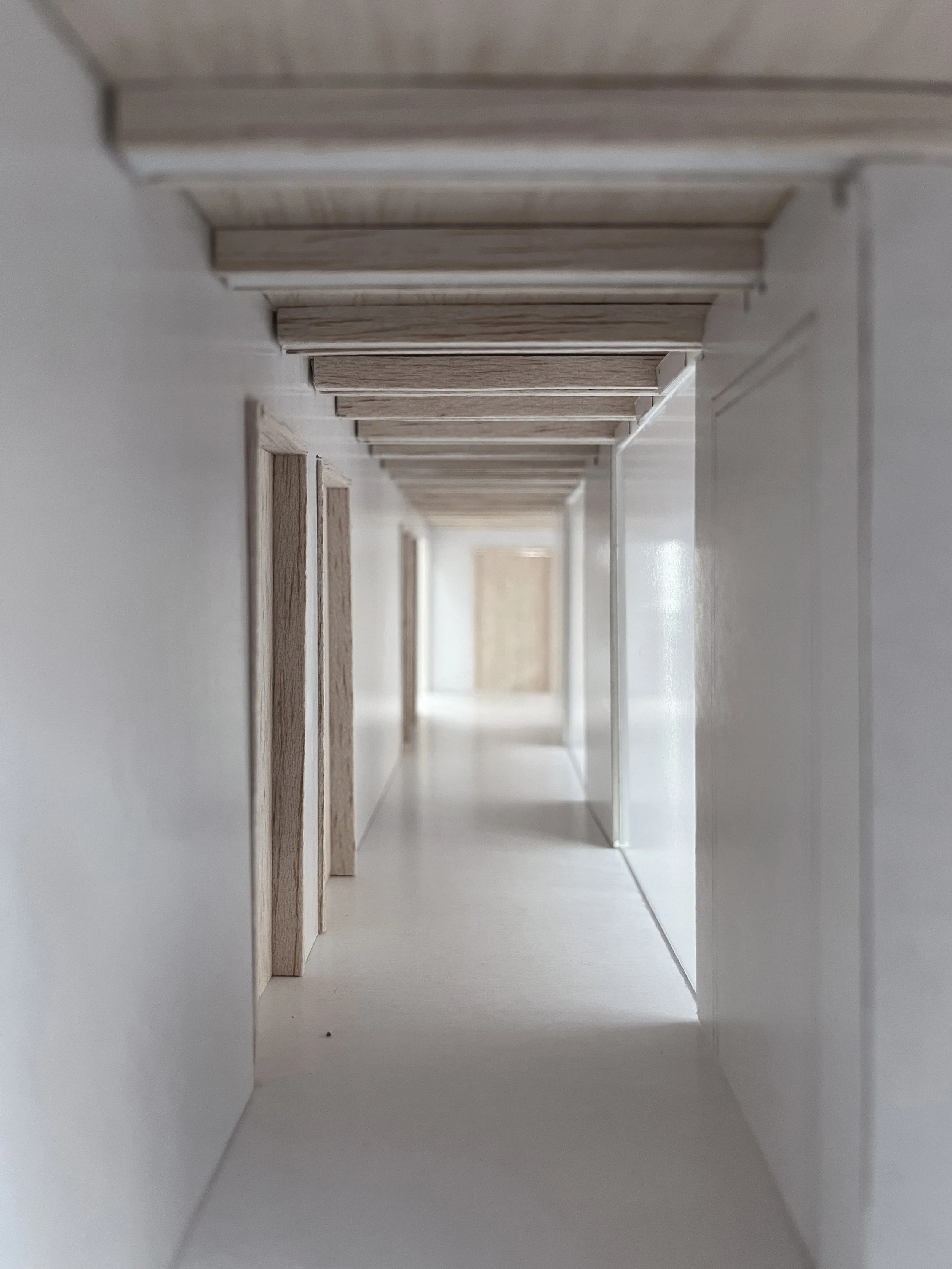 Schnellmann Erb Architekten Erlen - Modell.JPG