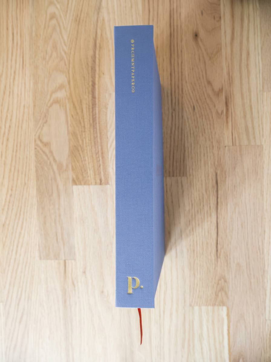 Blue hardcover book on a wooden floor, displaying the letter 'p' in gold on the spine.