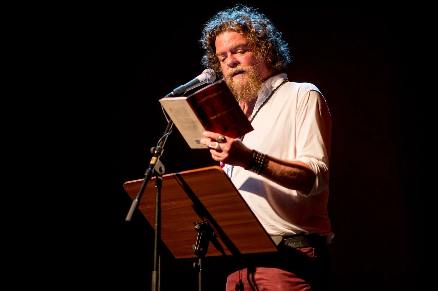 Jeroen Olyslaegers: “Zo kroon je gezelligheid tot heerser”