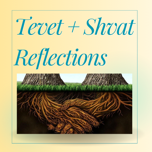 Lessons from the months of Improvement and Hidden Vitality; January/February, Tevet/Shvat