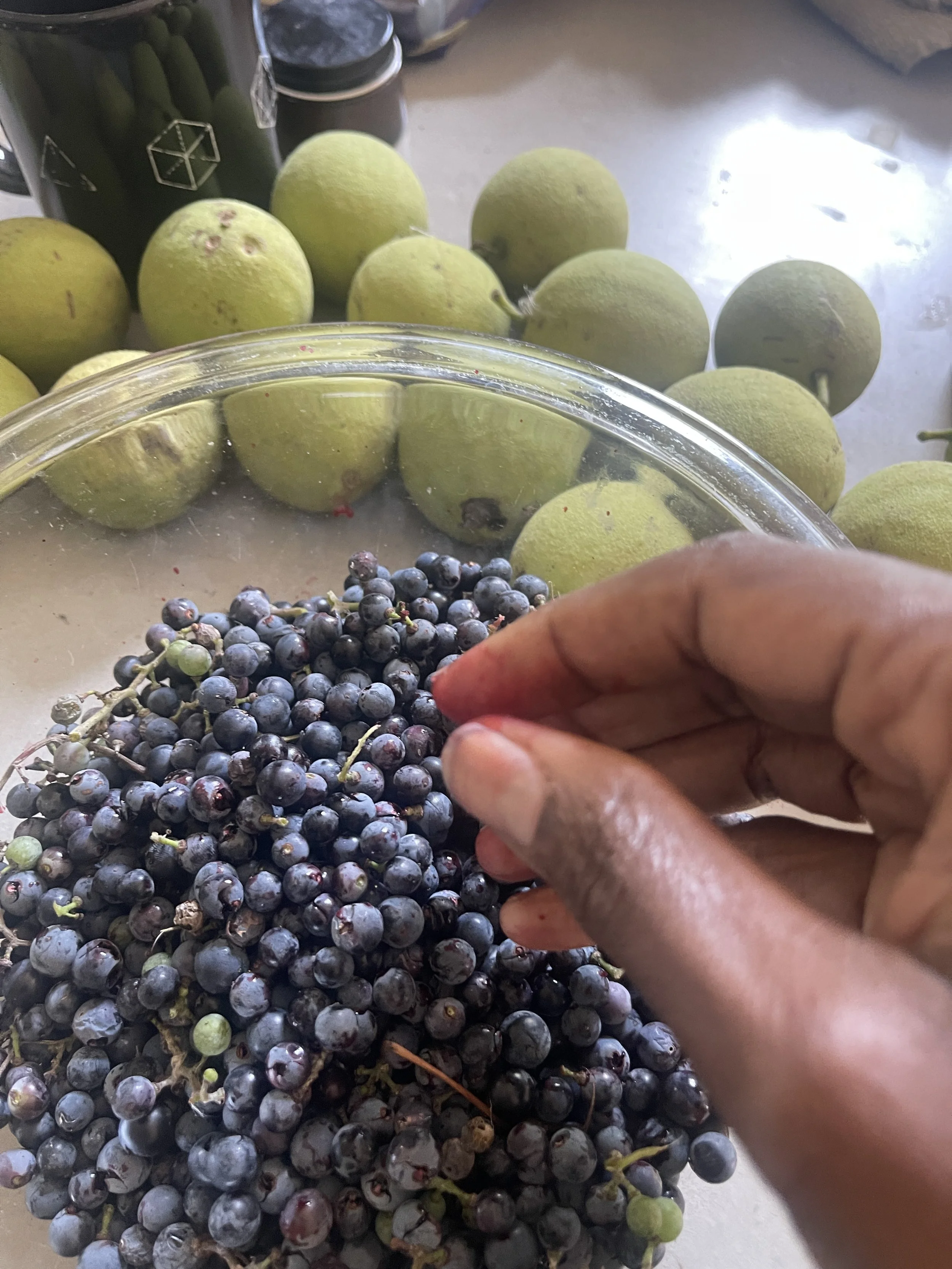 From Gooseberries to Bloom: The Making of Our Fermented Berry Collection