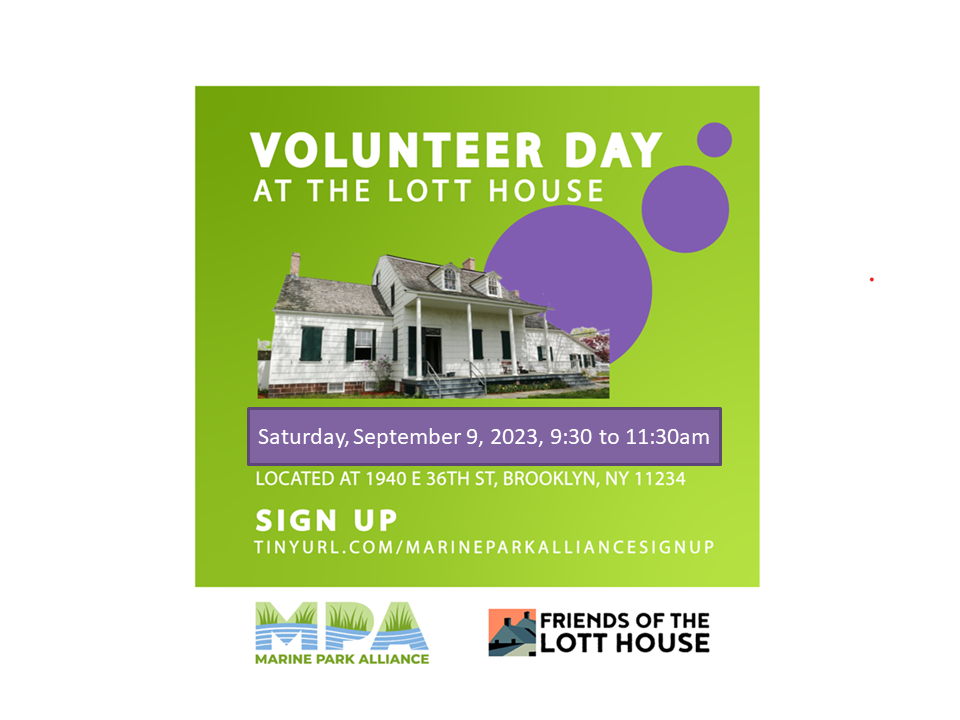 Hendrick Lott House September Cleanup