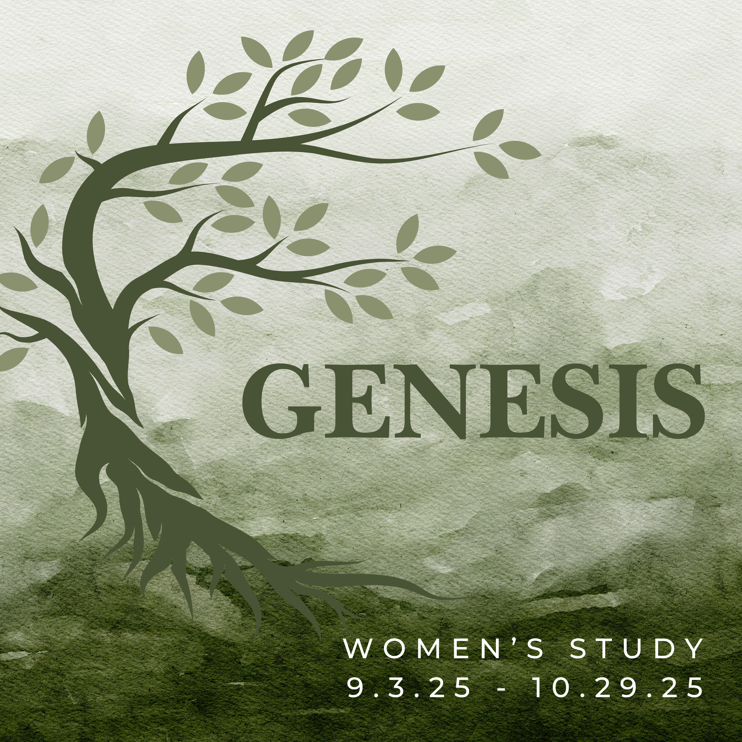 Genesis Women's Study