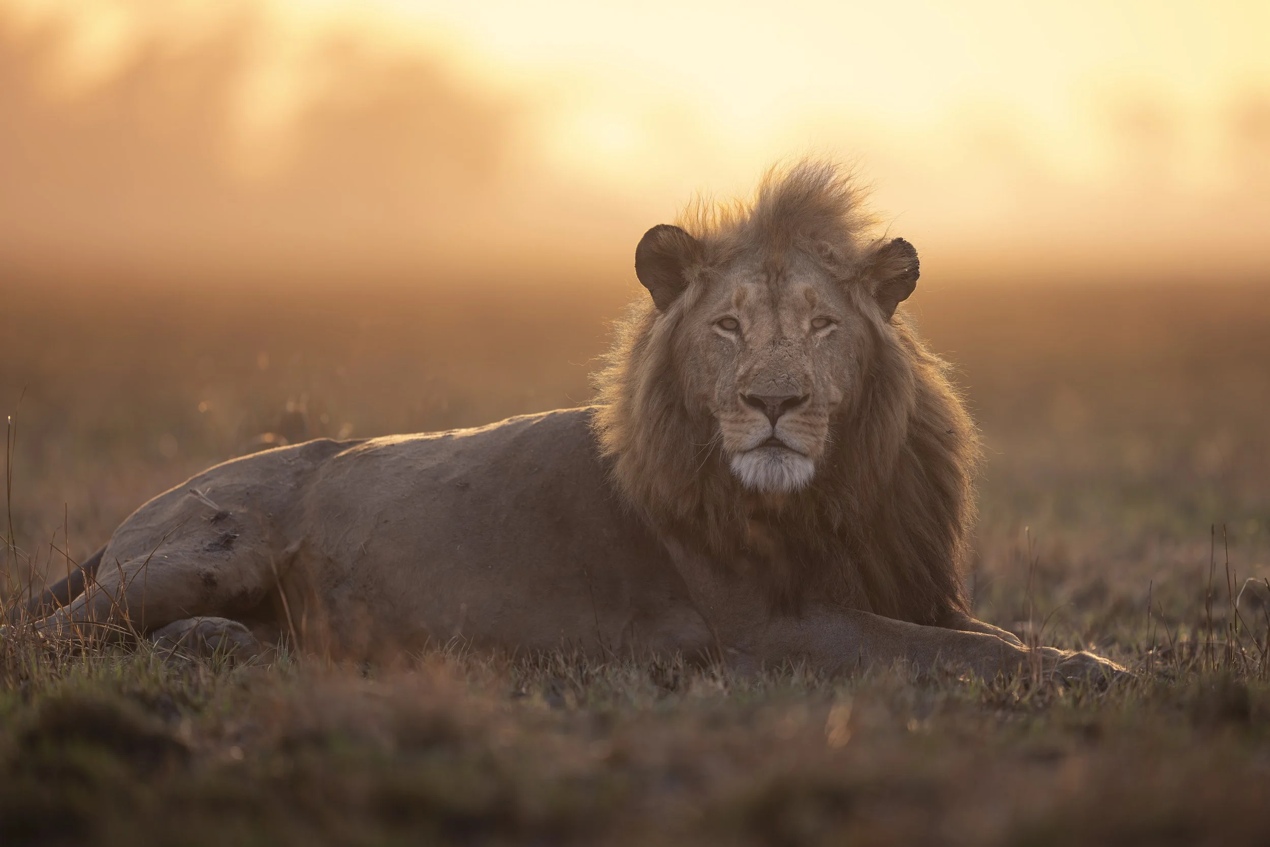 _AII6028-20250917-DxO_DeepPRIME XD2s.jpg