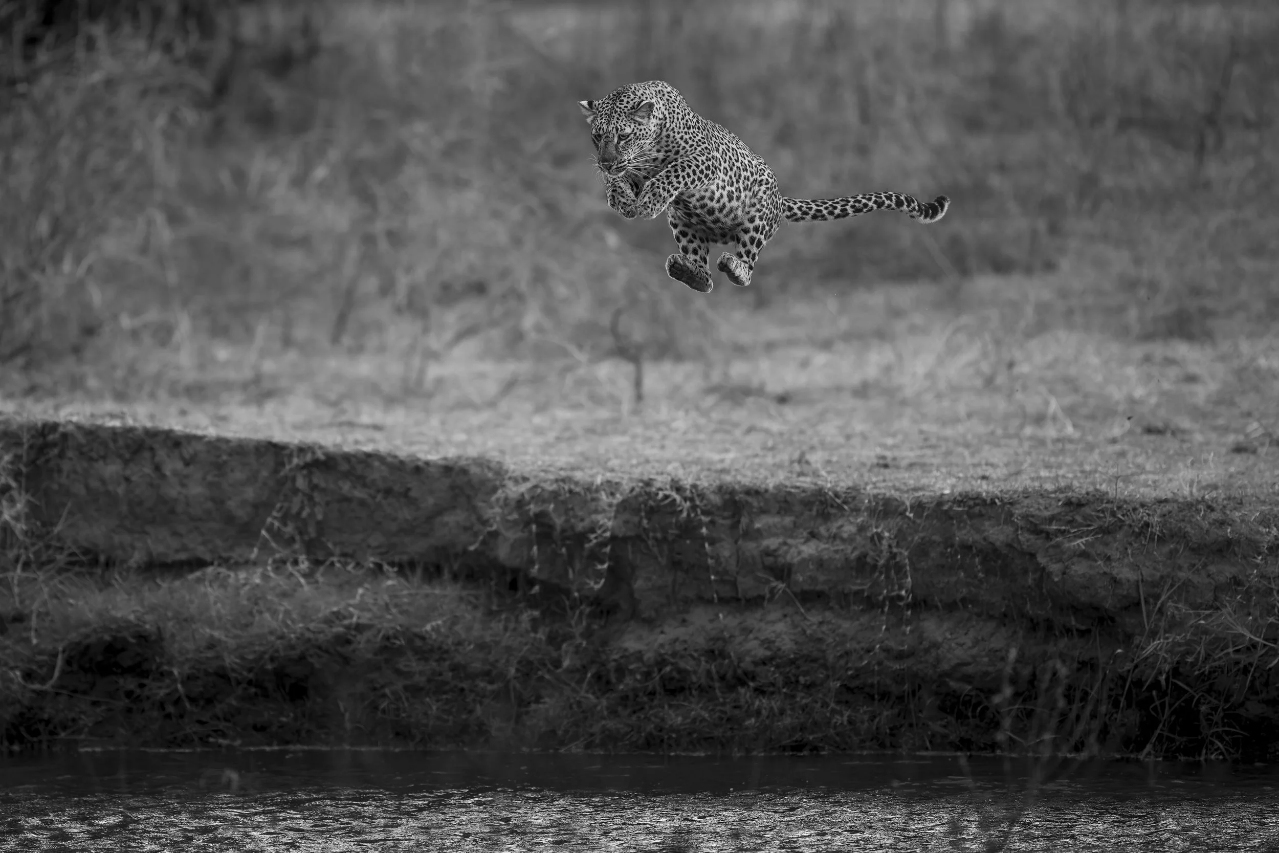 _AII0752-20250701-DxO_DeepPRIME XD2s.jpg