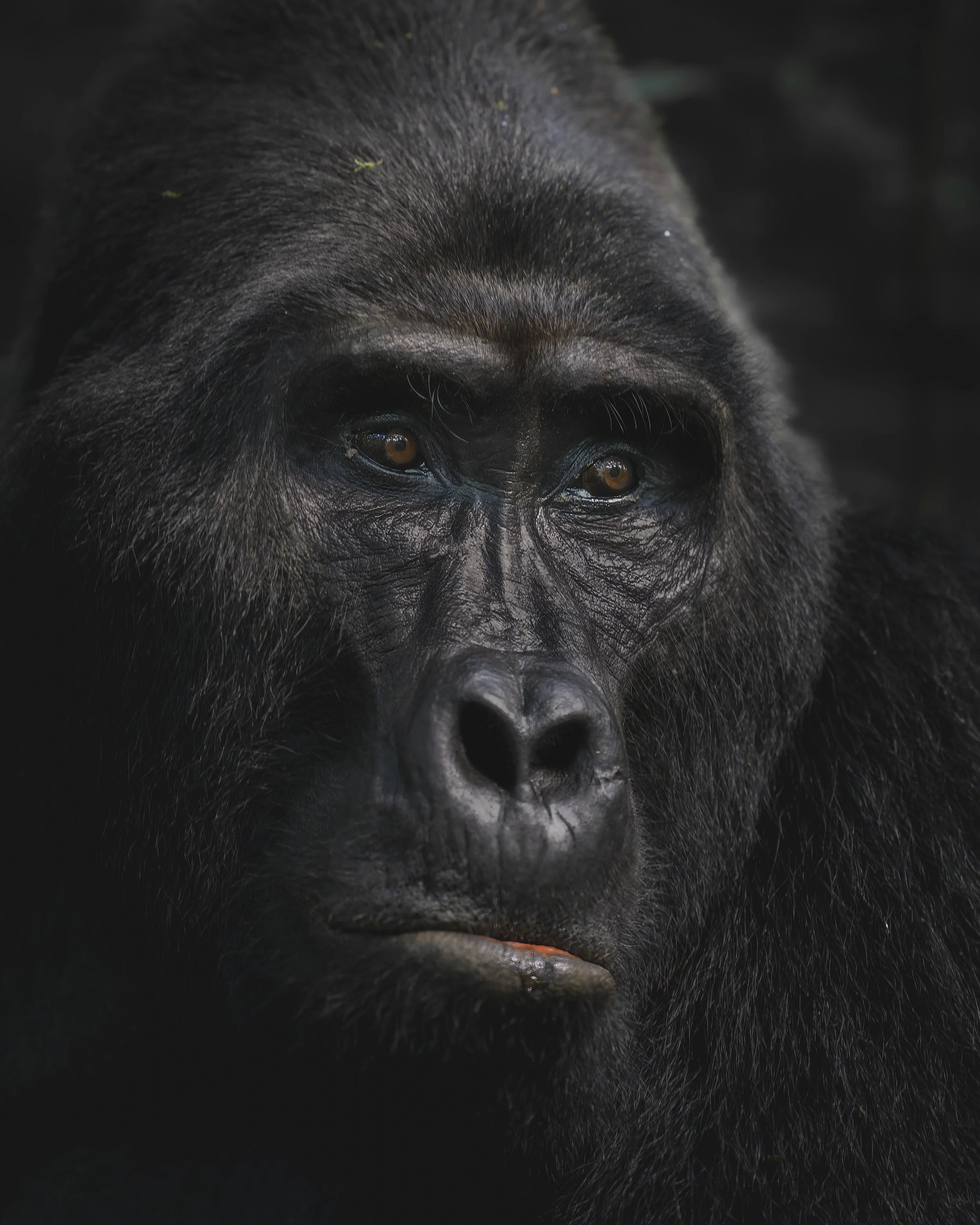 7RV01056-20240308-DxO_DeepPRIME XD2s-Bearbeitet.jpg