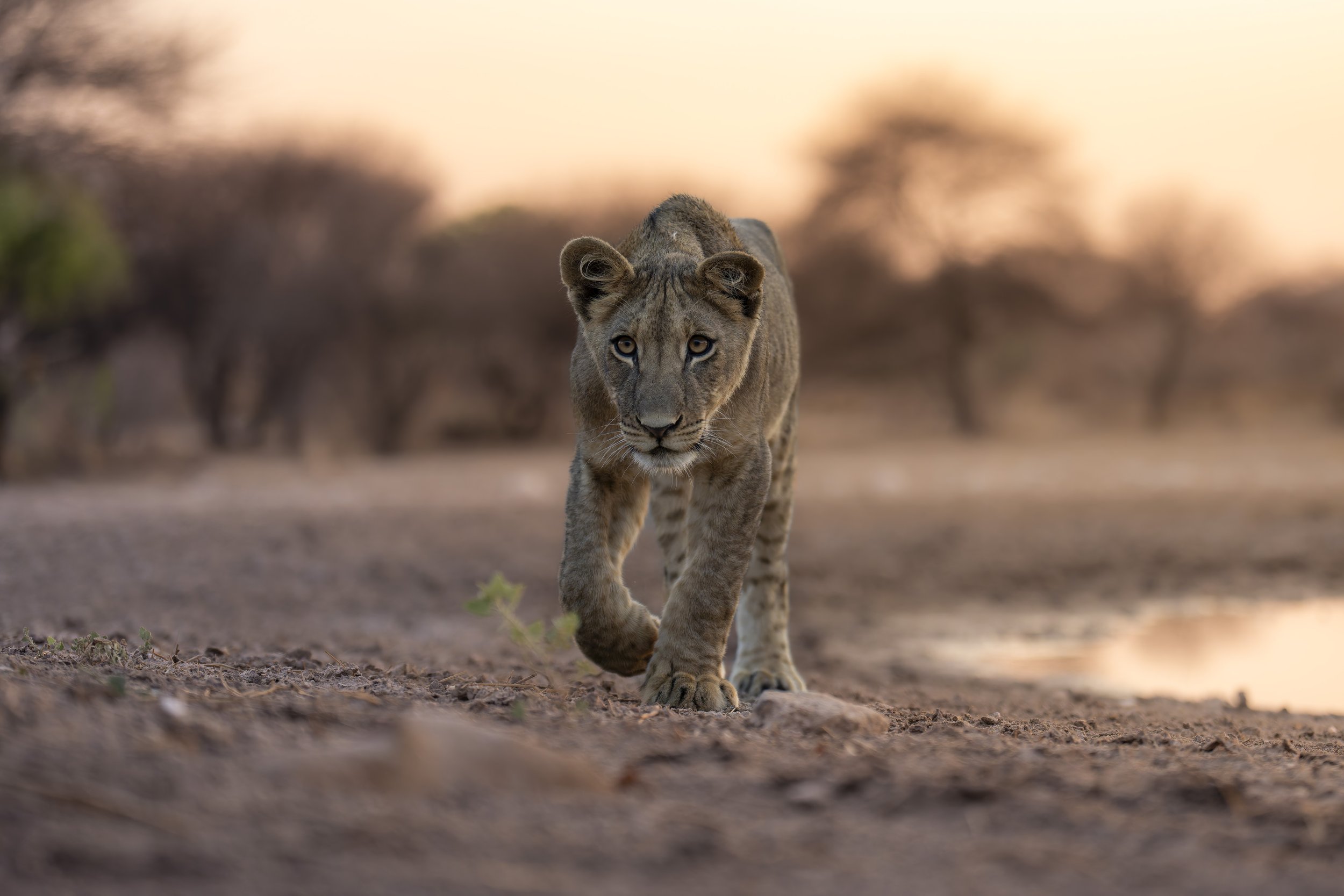 7RV02960-20231123-DxO_DeepPRIME XD2s.jpg