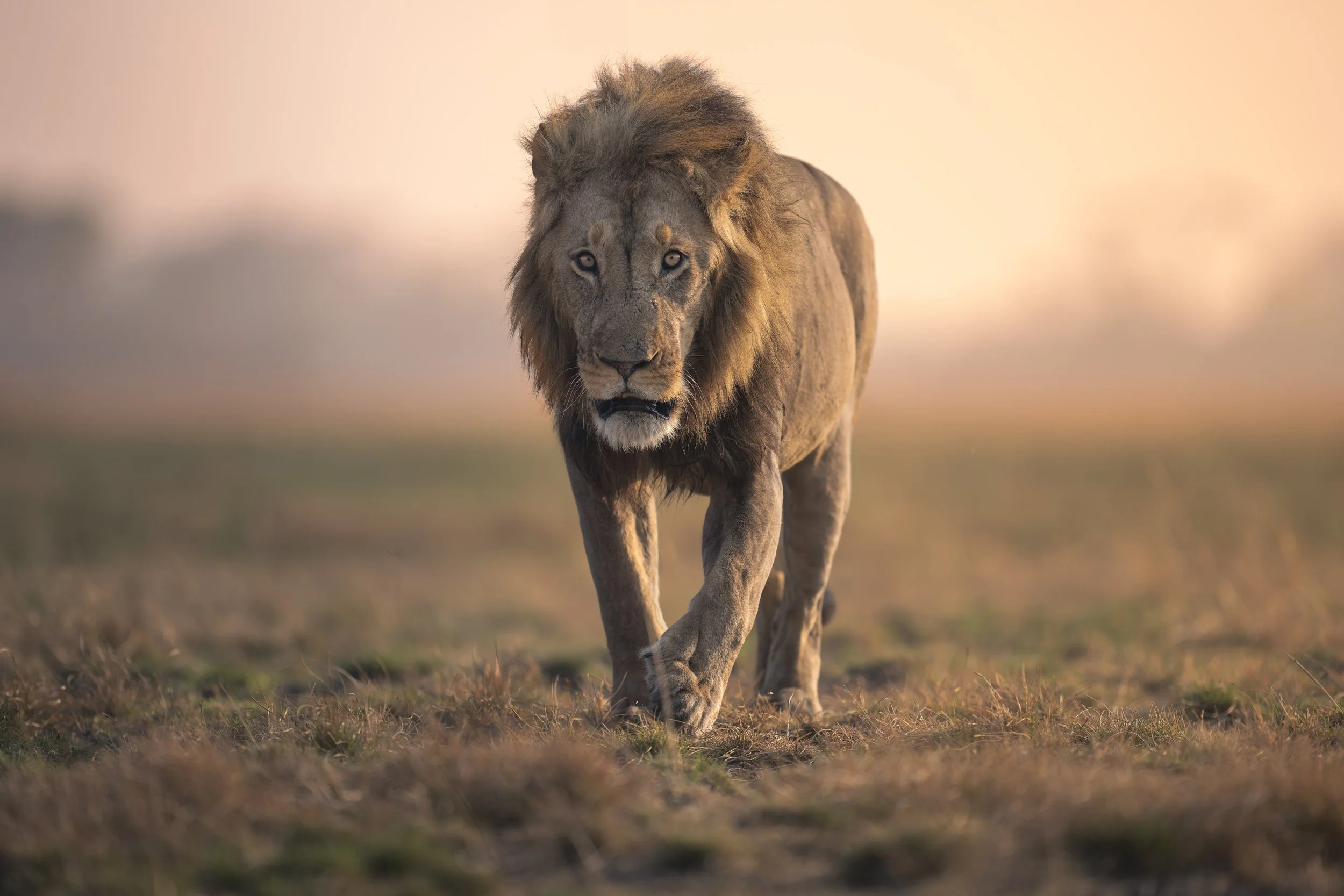 _AII8095-20250917-DxO_DeepPRIME XD2s.jpg