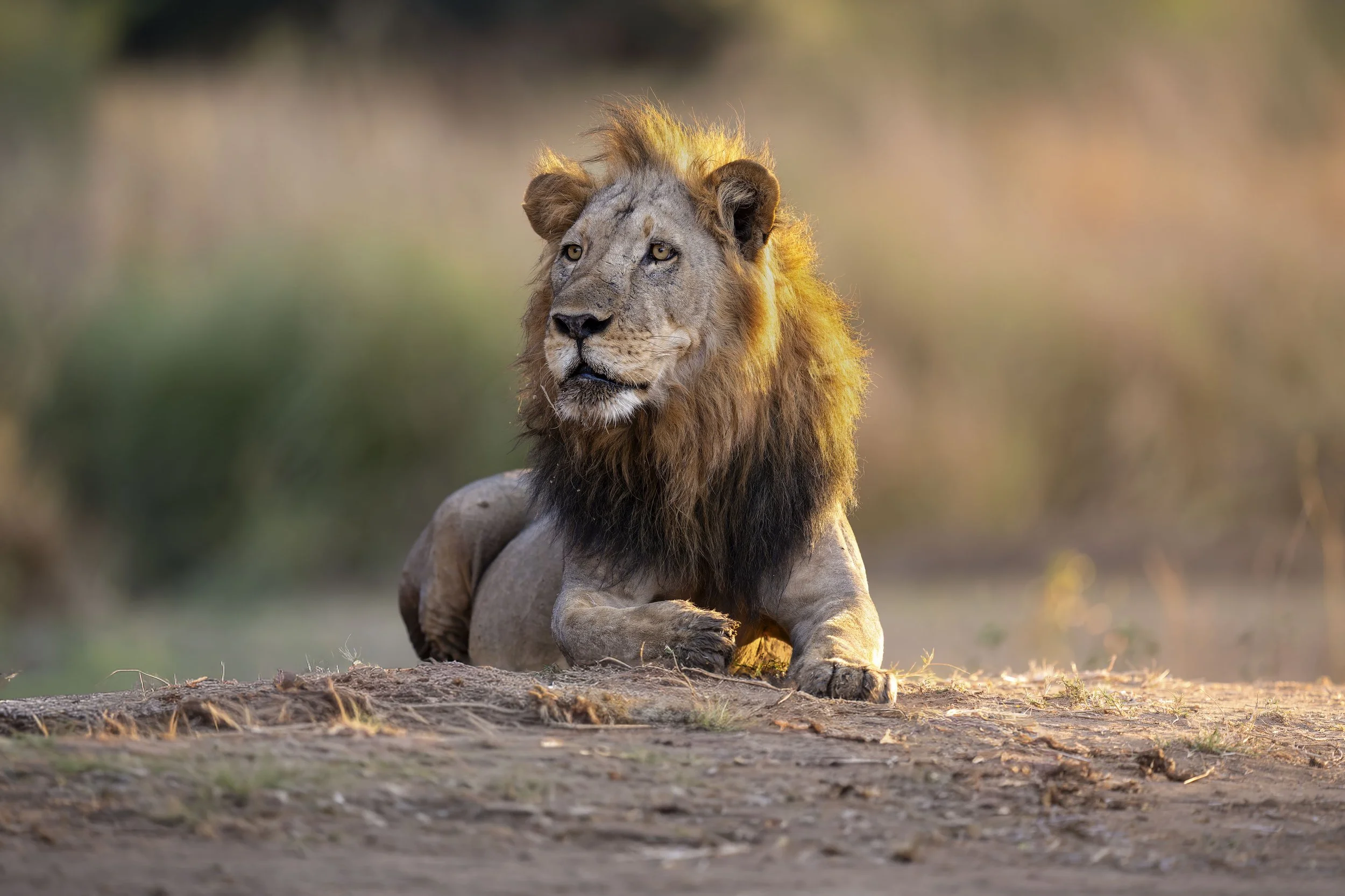 _AII0357-20250701-DxO_DeepPRIME XD2s-Bearbeitet.jpg