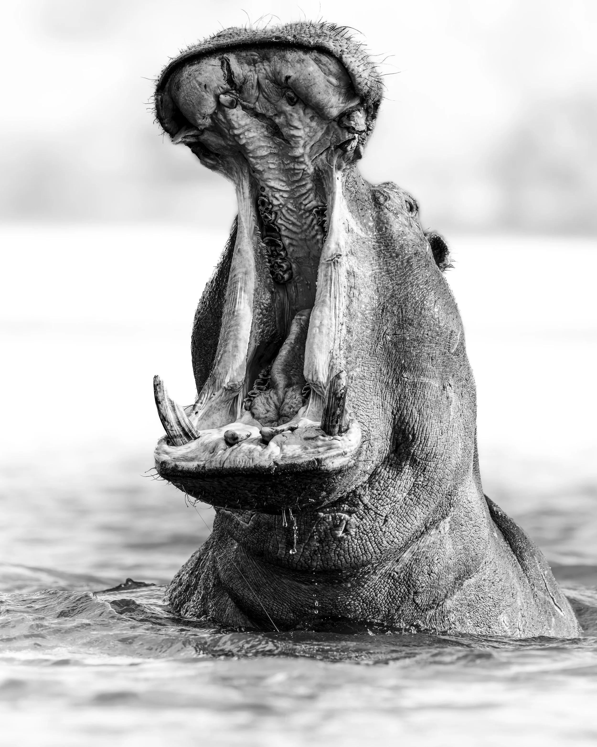 A1_05914-20231115-DxO_DeepPRIME XD2s.jpg