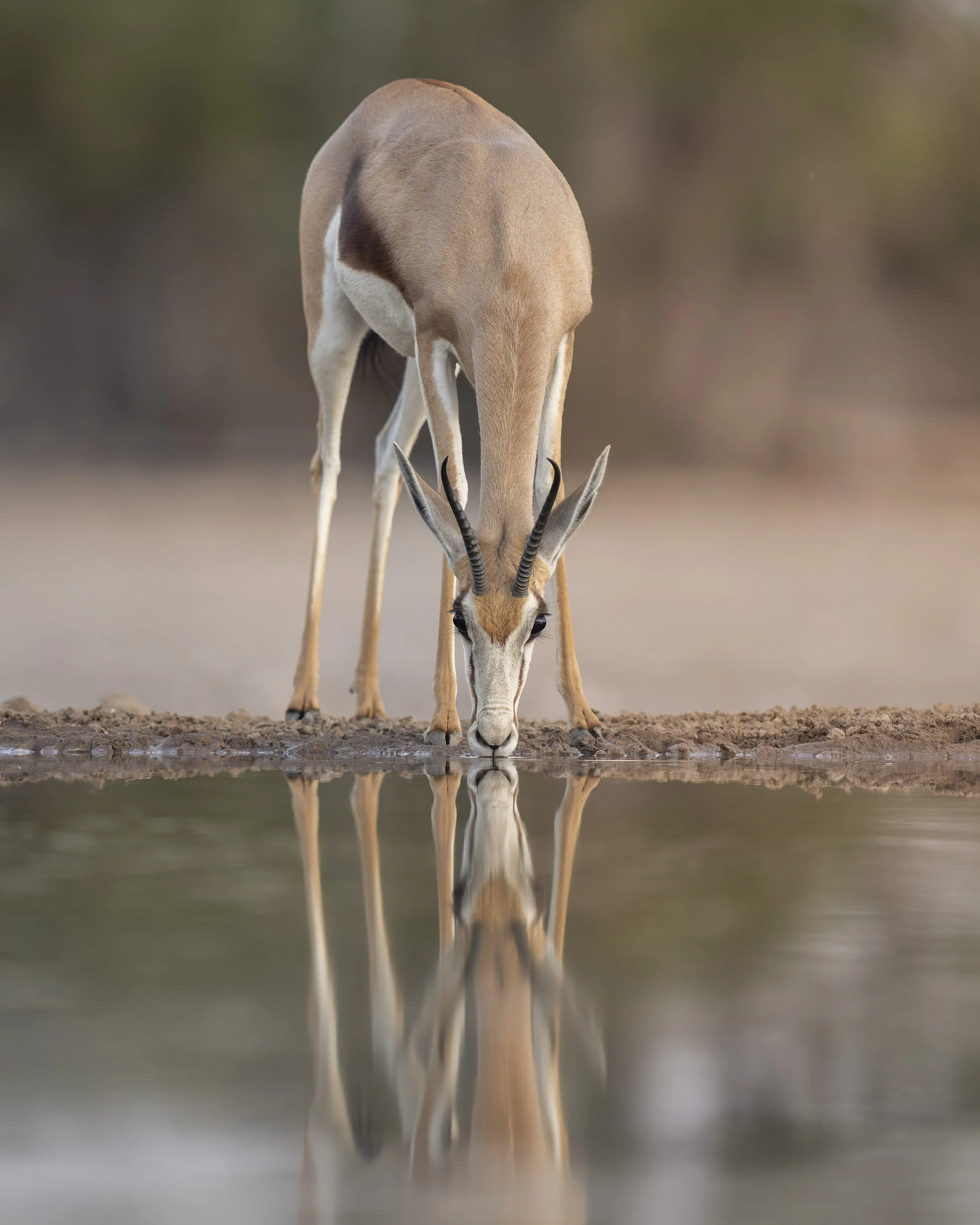 A1_01521-20240811-DxO_DeepPRIME XD2s.jpg