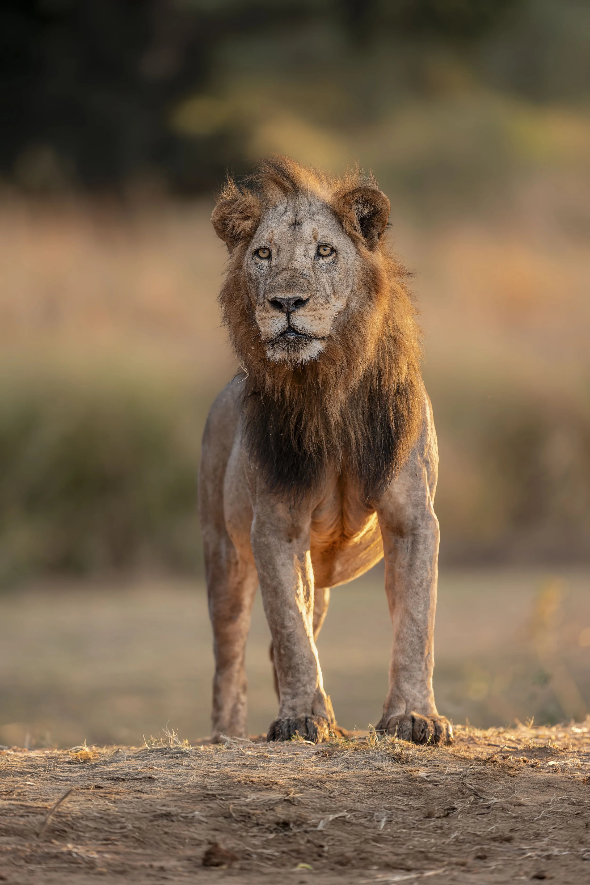 _AII0399-20250701-DxO_DeepPRIME XD2s-Bearbeitet.jpg