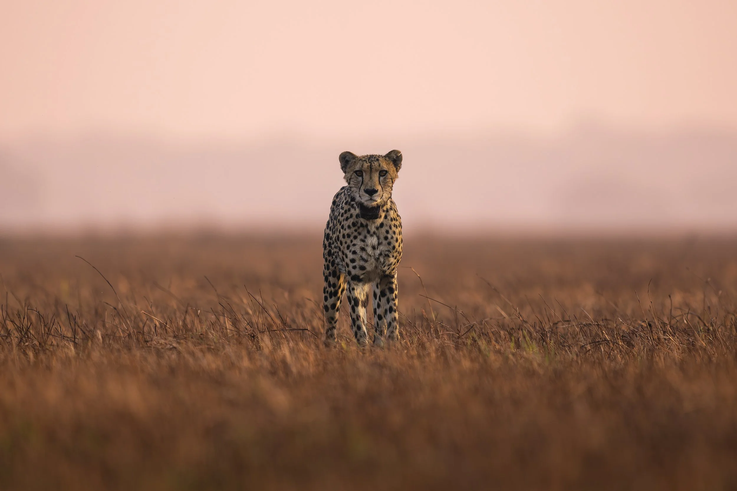 _AII1359-20250919-DxO_DeepPRIME XD2s.jpg