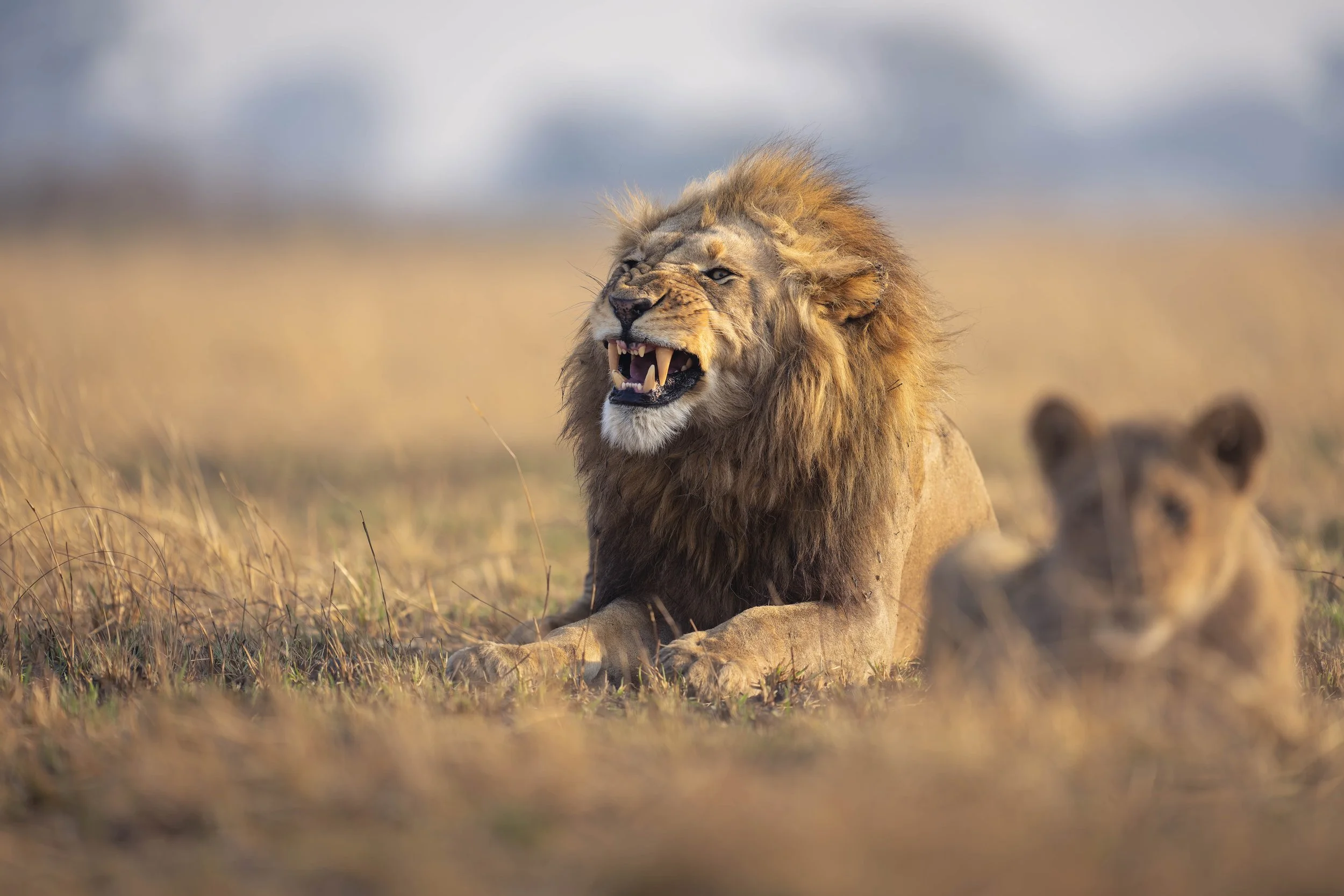 _AII7725-20250917-DxO_DeepPRIME XD2s.jpg